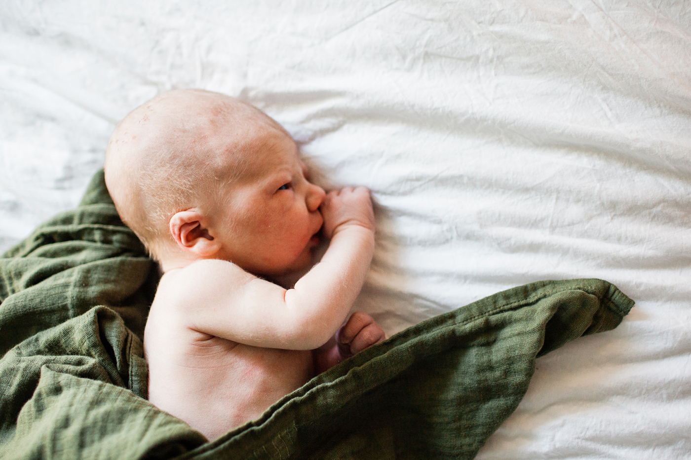 doula birth prenatal postnatal postpartum florida 1